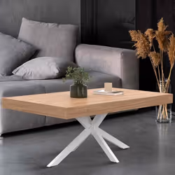 IDMARKET Table basse rectangulaire ALIX 110 cm pied araignée bois et blanc