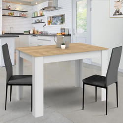 IDMARKET Table à manger rectangle ROZY 6 personnes blanc plateau façon hêtre 110 cm