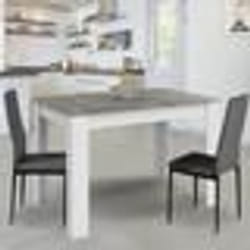 IDMARKET Table à manger rectangle ROZY 6 personnes blanc plateau effet béton 110 cm