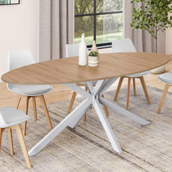 Table à manger ovale fixe - IDMARKET - ALIX - Bois et blanc - 10 personnes - 200 cm