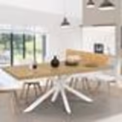 IDMARKET Table à manger extensible rectangle ALIX 6-10 personnes bois et blanc 160-200 cm