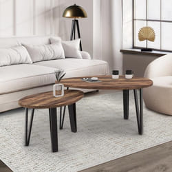 IDMARKET Lot de 2 tables basses gigognes AUSTRIA bois pied épingle noir