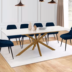 IDMARKET Table à manger extensible rectangle ALIX 6-10 personnes pied araignée laiton plateau effet marbre doré ALASKA 160 -  ...