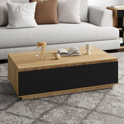 IDMARKET Table basse TOMI 110 cm avec porte façon hêtre et noir