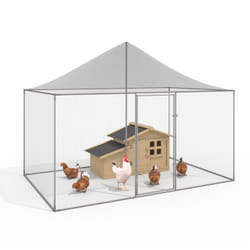 Volière 6 m² parc grillagé 3 x 2 m enclos poulailler pour animaux de basse cour