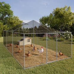 IDMARKET Volière 18 m² parc grillagé 6 x 3 M enclos poulailler pour animaux de basse cour