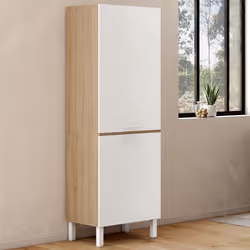 IDMARKET Colonne de cuisine 60 cm CINA 2 portes façon hêtre et blanc
