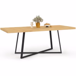 Avec son design industriel et stylé, la table à manger extensible SELMA incarne l'harmonie entre esthétique et fonctionnalité ...