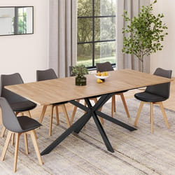 Table à manger rectangle fixe - IDMARKET - ALIX - Bois et noir - 10 personnes - 200 cm