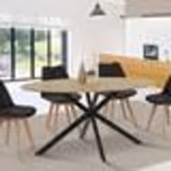 IDMARKET Table à manger ovale ALIX 8 personnes pied araignée bois et noir 150 cm