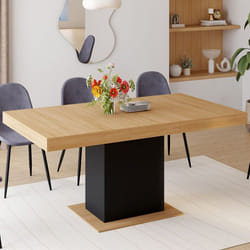 IDMARKET Table à manger extensible rectangle EDEN 4-6 personnes bois et noir 120-160 cm