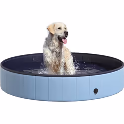 Cet été, votre chien sera le plus heureux en lui offrant cette superbe piscine ! Conçue et fabriquée en plastique résistant a ...