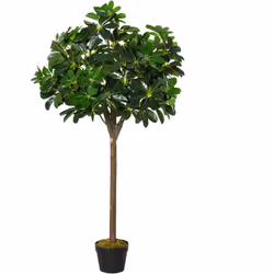 Ajoutez une touche de vert dans votre salon, bureau, entrée, terrasse avec ce splendide arbre artificiel variété Alstonia sch ...