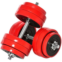 Ensemble dhaltères total 30 kg - 2 en 1 haltères courte-longue avec barre dextension - entraînement musculaire & haltérophilie