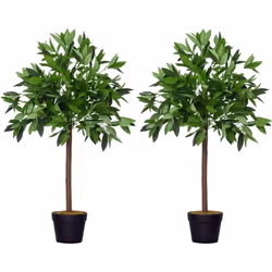 Description générale Ajoutez une touche de vert dans votre salon, votre chambre ou votre bureau avec ce splendide lot de 2 la ...