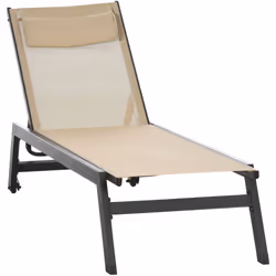 Ce superbe bain de soleil style contemporain en aluminium sublimera votre extérieur ! Doté d'un revêtement très élégant en te ...