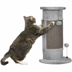 Laissez votre chat s'amuser grâce à ce tapis à griffer PawHut. Le tapis à griffer stimule le désir de votre matou d'aiguiser  ...