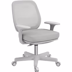 Description générale Cette chaise de bureau est le modèle idéal pour travailler dans le confort. Installez-vous dans cette ch ...