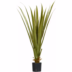 Ajoutez une touche de gaieté dans votre salon, bureau, entrée, terrasse avec cette splendide agave artificielle. Avec ses 16 ...