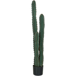 Homcom - Cactus artificiel grand réalisme plante artificielle grande taille dim. ø 18 x 120H cm vert