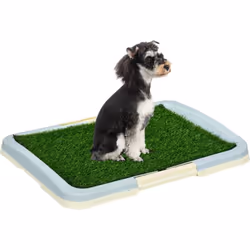 Cette ingénieuse litière toilette pour chien est un produit innovant idéal pour apprendre à votre chien où faire ses besoins  ...