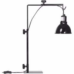 Offrez à votre reptile un environnement optimal avec le support de lampe PawHut ! Idéal pour les lézards et les serpents, il ...