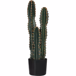 Apportez un peu de piquant à votre intérieur en intégrant ce splendide cactus grand taille (dim. Ø 17 x 60H cm) et réalisme.  ...
