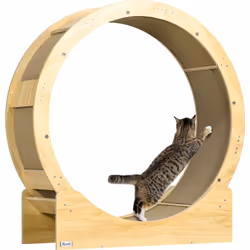 Offrez à votre félin une expérience sportive avec la roue pour chat PawHut. Conçue pour une rotation souple, cette roue d'exe ...