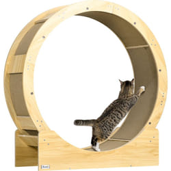 Roue d'exercice pour chat - frein, grattoirs - dim. 91L x 33,5P x 94H cm - aspect bois naturel