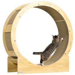Roue dexercice pour chat - PawHut - 91 cm - avec frein - coussins de grattage - pour course marche entraînement - naturel