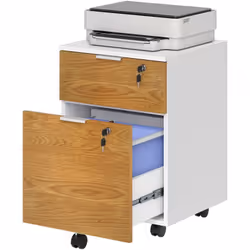 Vous ne supportez plus que vos documents soient toujours en désordre sur votre bureau ? Ce caisson de bureau résoudra tous vo ...