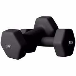 Lot de 2 haltères hexagonales - SPORTNOW - avec poignée antidérapante pour lentraînement à la maison 2 x 5kg noir