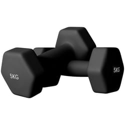 Lot de 2 haltères hexagonales - SPORTNOW - avec poignée antidérapante pour lentraînement à la maison 2 x 5kg noir