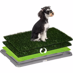 Améliorez la toilette de votre animal de compagnie grâce à notre toilette pour chien innovante PawHut ! Sa conception en troi ...