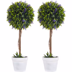 Vous voulez des plantes vertes sans l'entretien? Nos plantes artificielles restent vertes des années, sans taille ni arrosage ...