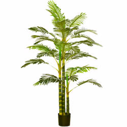 Vous aimez les plantes mais leur entretien vous décourage ? Choisissez le palmier tropical Areca d'Outsunny, qui ne nécessite ...