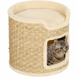 Explorez l'arbre à chat en bois PawHut, avec un intérieur douillet et un sommet en peluche pour les observateurs. En panneau ...