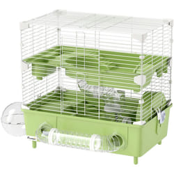 Pawhut - Cage pour hamster 2 niveaux roue sphère bac à sable tuyaux biberon eau dim. 44,5 x 28 x 44 cm blanc vert