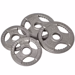Disques de poids - HOMCOM - 25/25/5/5 kg - pour 5 cm barres olympiques - en acier - argent