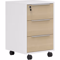 Vous ne supportez plus que vos documents soient toujours en désordre sur votre bureau ? Ce caisson de bureau résoudra tous vo ...