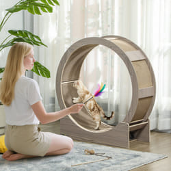 Roue D'Exercice Pour Chat - Roue De Course - Pawhut - Frein Sécurisé Et Tapis De Grattage Amovible - Silencieux - 91 Cm - Marron