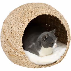 Découvrez le panier pour chat PawHut, un refuge tissé en quenouille, robuste et spacieux pour grands chats. Inclut un coussin ...