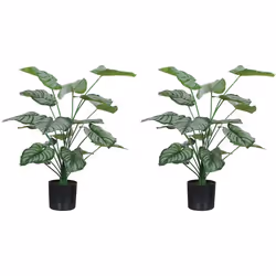 Lot de 2 plantes artificielles intérieures - HOMCOM - 65 cm - pot en plastique et flocage - vert