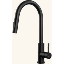 Robinet douchette Luisina inox noir mat marceau