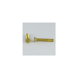 Vis-Express 1501402009_1 vis et boulon 20 mm 1 pièce(s) M4