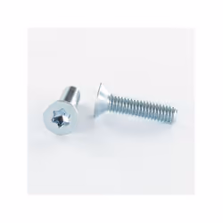 Vis métaux Tête fraisée TF TORX T30 M6X12 Classe 4.8 Acier zingué Autre références : 3663072036895 NEG00089 21