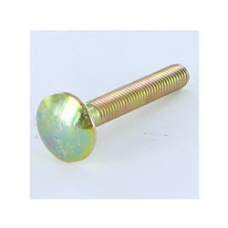 Trcc japy tête ronde collet carré M5X22 Filetage total Bichromaté-1 piece