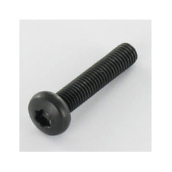 Vis Express - Vis métaux Tête cylindrique large Tête cylindrique bombée large tcbl Inox A2 M5X25 Noir torx T20-1 piece