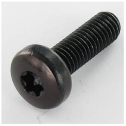 Vis Express - Vis métaux Tête cylindrique large tcl torx T40 M8X25 Acier zingué noir-1 piece