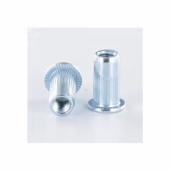 Ecrou à sertir Tête plate TP M10X19.5 ACPC35 Acier zingué Autre références : 171110351C YECRINSRTPZN1 ACC09021 30520327 5407  ...